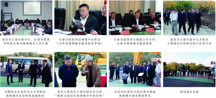 海綿-1.jpg 海綿-1.jpg