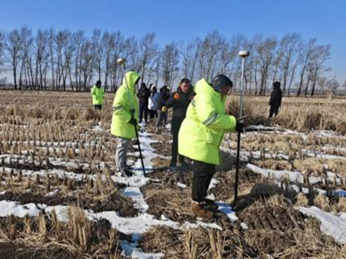 中樁驗線 中樁驗線
